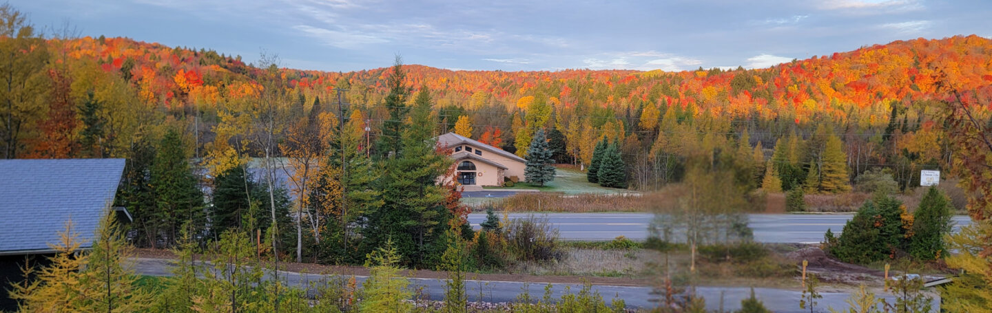 Fall foliage