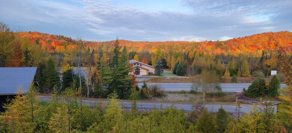 Fall foliage